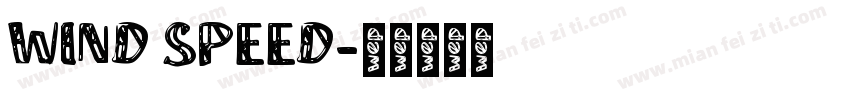 WIND SPEED字体转换